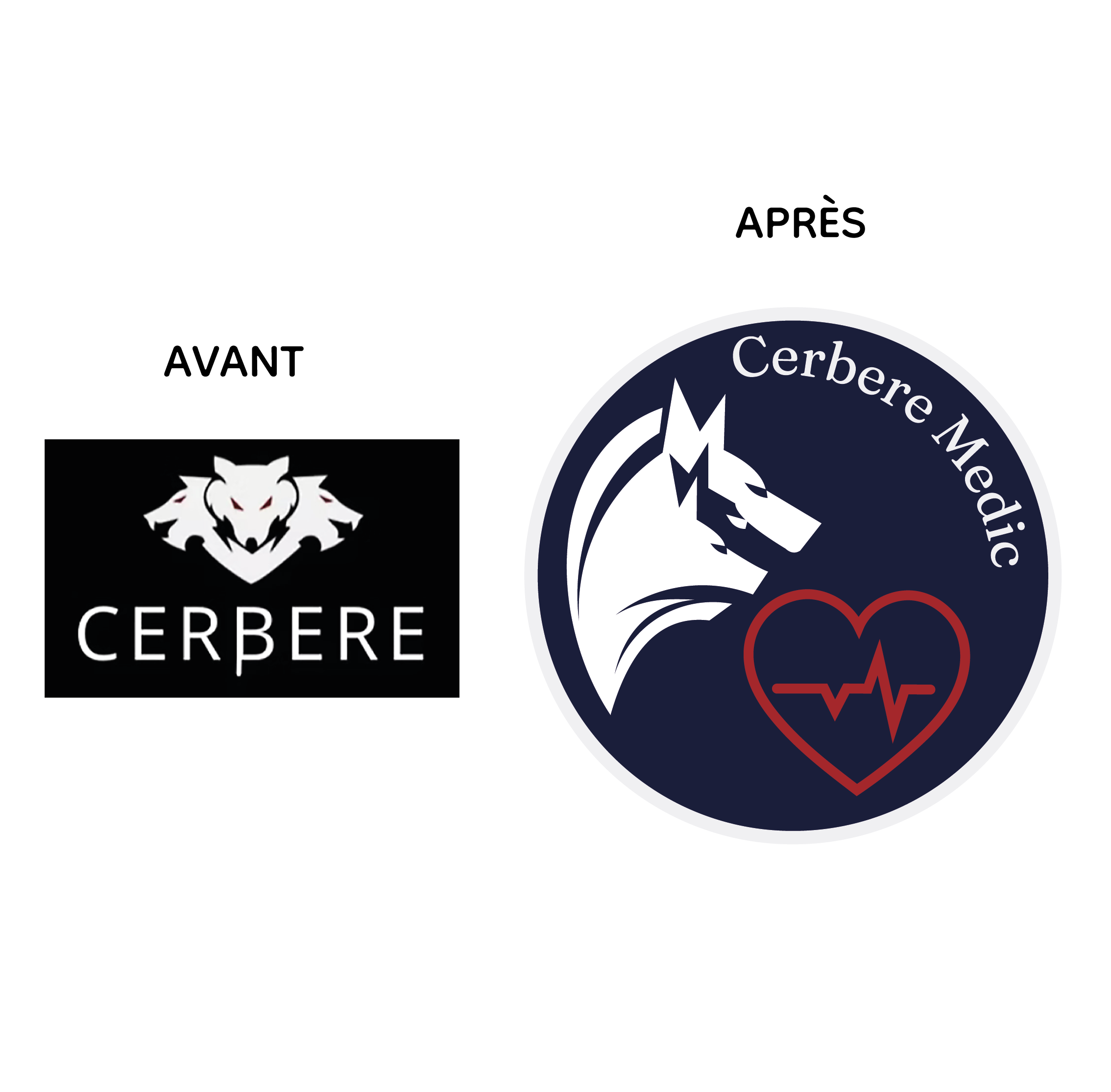 Aperçu du projet Cerbère Médic